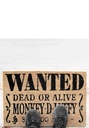 One Piece Netflix Door Mat