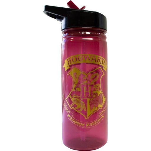 [8435507860581] Botella Hogwarts Harry Potter 600ml