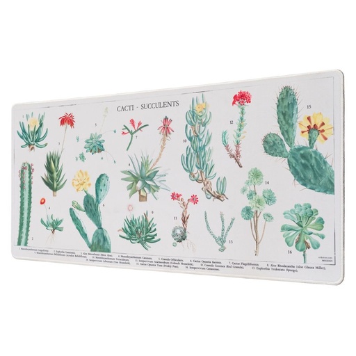 [8435497262181] Alfombrilla gaming Cactus Botanicos