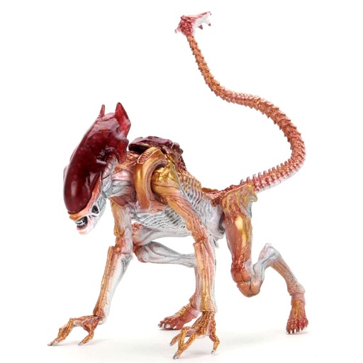 [634482517154] Figura Panther Alien Aliens Kenner Tribute 23cm