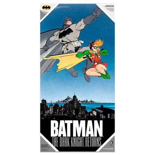 [8435450201929] Poster cristal Batman y Robin DC Comics