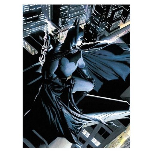 [8435450223907] Poster cristal Batman DC Comics