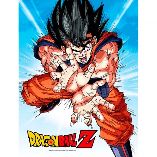 [8435450249969] Poster cristal Goku Kame Dragon Ball Z